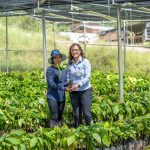 ECSA impulsa proyecto integral de cacao para fortalecer la economía local